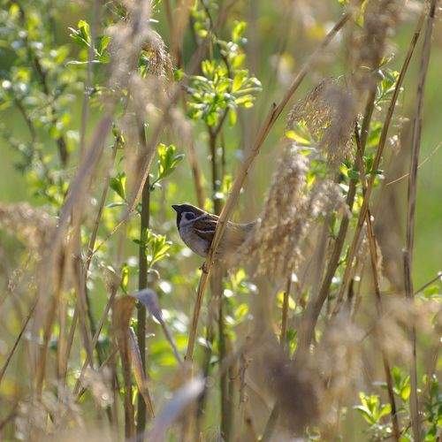 Photo #8972132