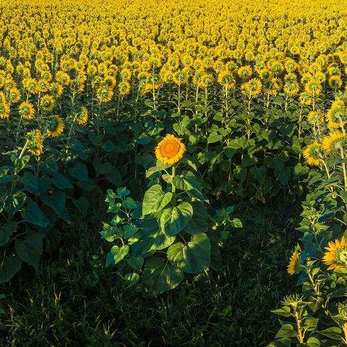 Photo #8972193