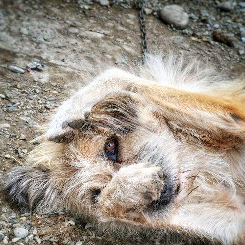 Photo #8972305