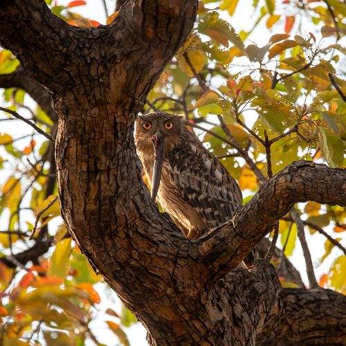 Photo #8972371