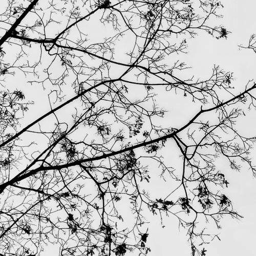Photo #8972476