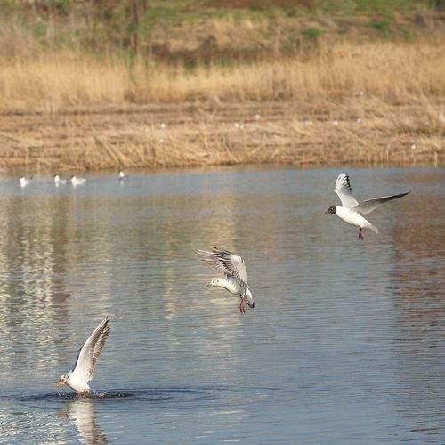 Photo #8972555