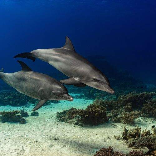 Photo #8972557
