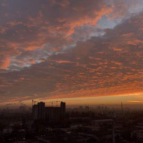 Photo #8972573