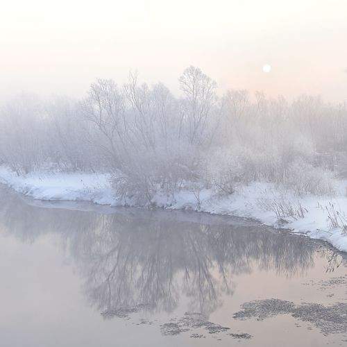 Туманное зимнее утро
