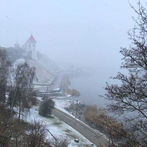 Photo #8973023