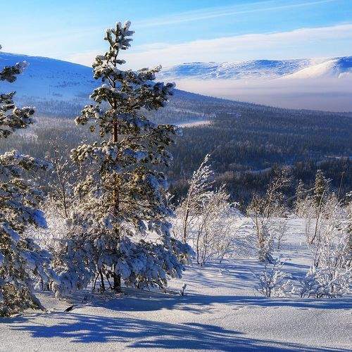 Photo #8973200