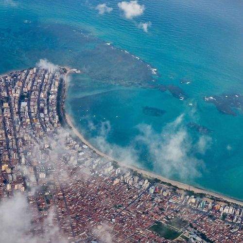 Photo #8973279