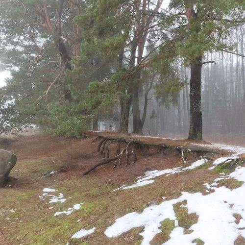 Photo #8973281
