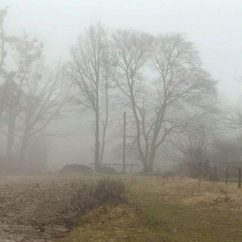 Photo #8973298