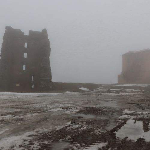Photo #8973461