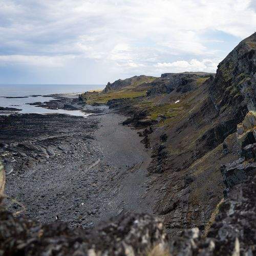Photo #8973556