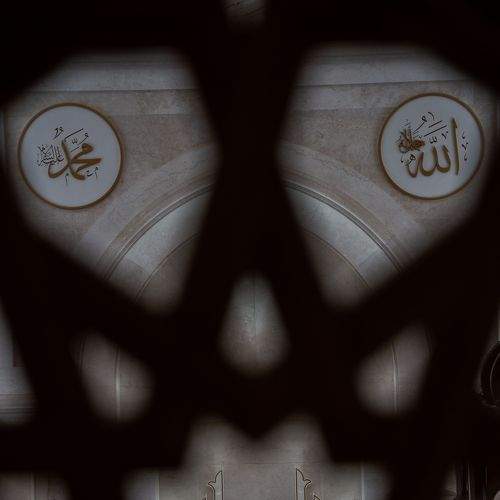 Photo #8973717
