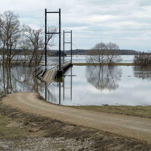 Photo #8973922