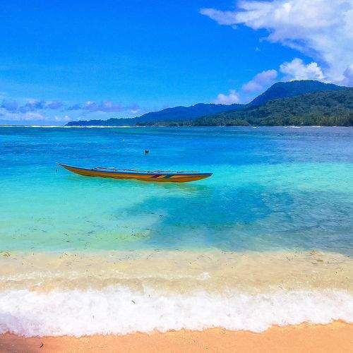 Photo #8974019