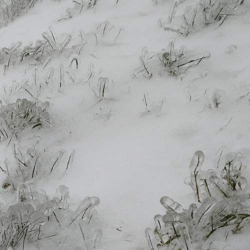 Photo #8974494