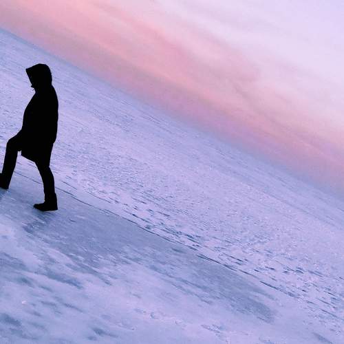 Photo #8974521