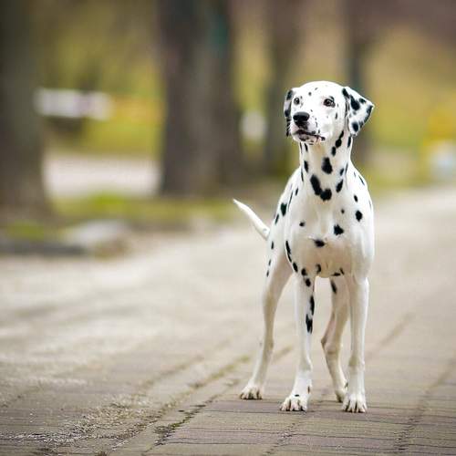 Photo #8974584