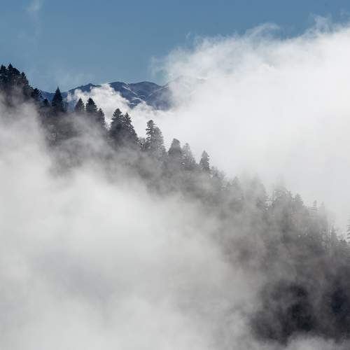 Photo #8975254