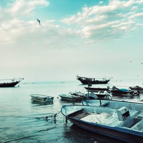 Photo #8975414