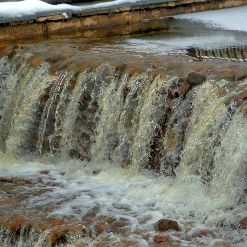 Photo #8975432