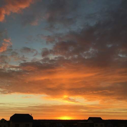 Photo #8975439