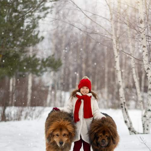 Photo #8975624