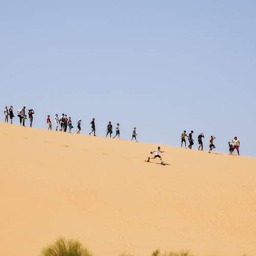 Photo #8975940