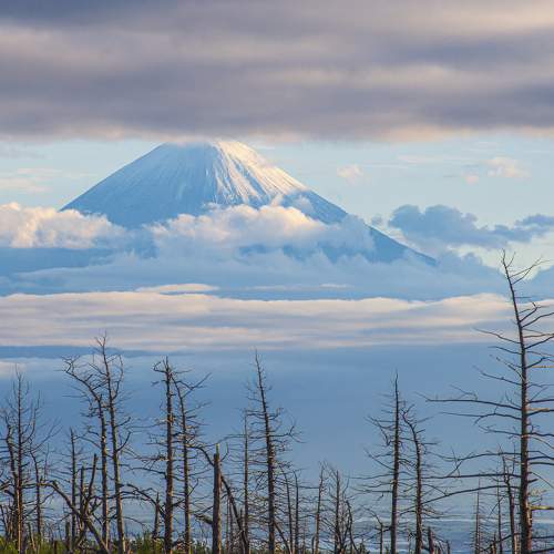 Photo #8976153