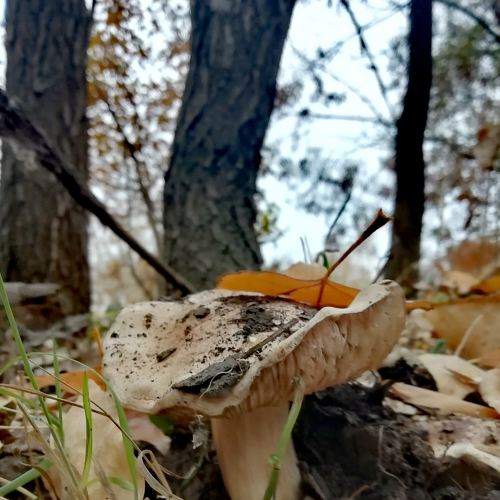 Photo #8976535