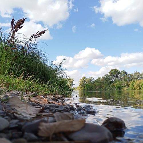 Photo #8976536
