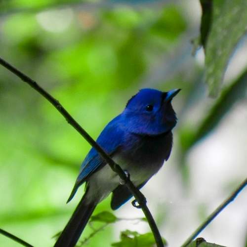 Photo #8976723