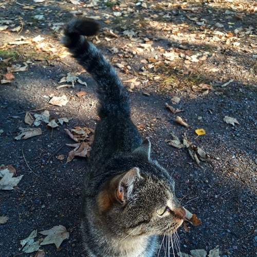 Photo #8976893