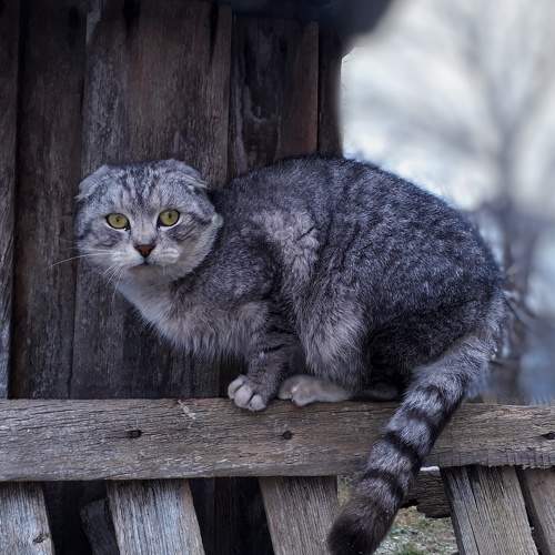 Photo #8976913