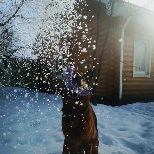 Photo #8976978