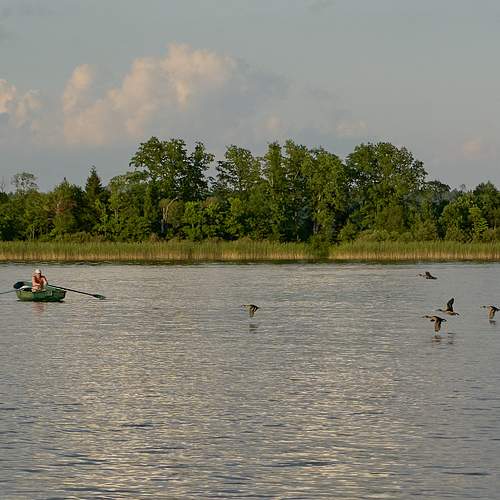 Photo #8977091