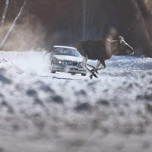 Photo #8977170