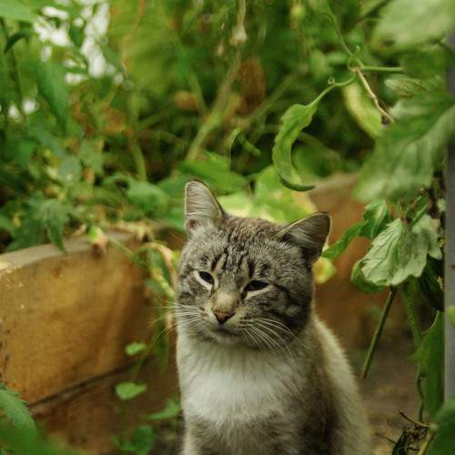 Photo #8977736