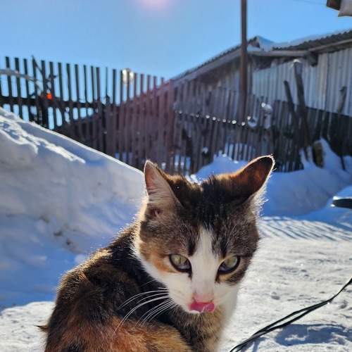 Photo #8978223