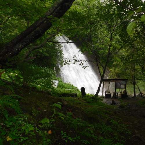 Photo #8978238