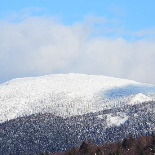 Photo #8978276
