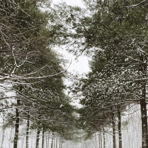 Photo #8978548