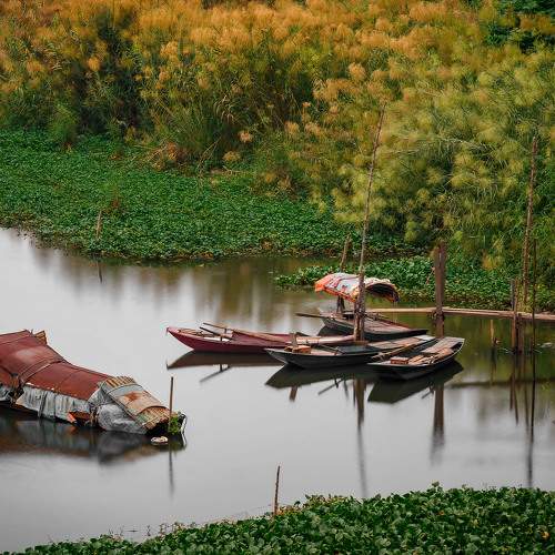 Photo #8978692
