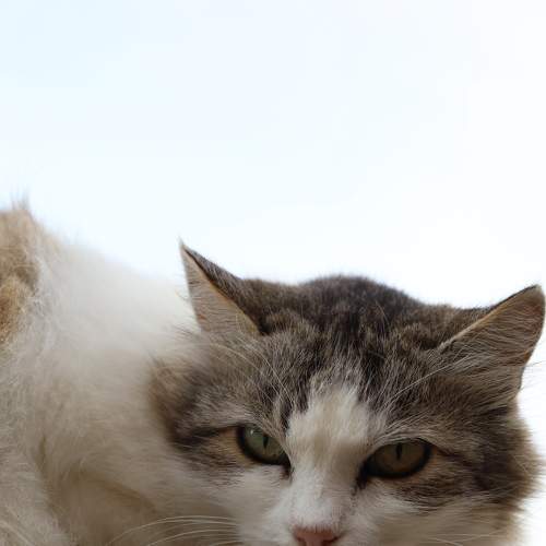 Photo #8978829