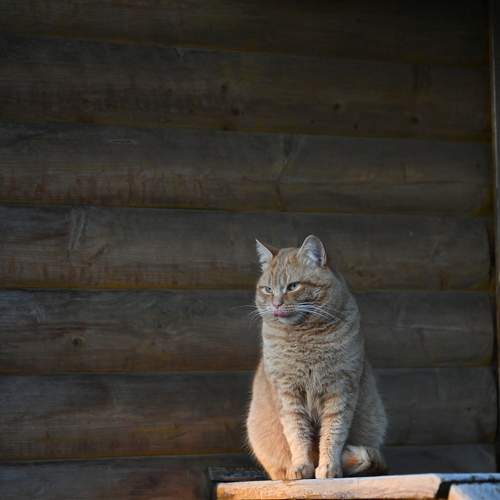 Photo #8979068