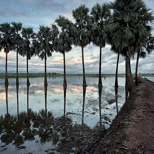 Photo #8979084