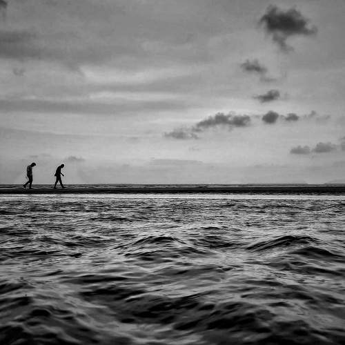 Photo #8979096