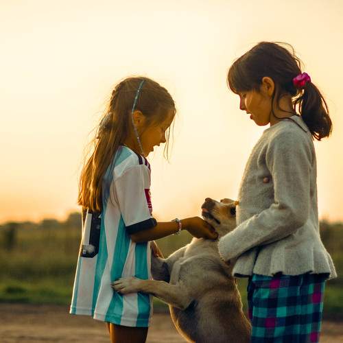 Photo #8980211