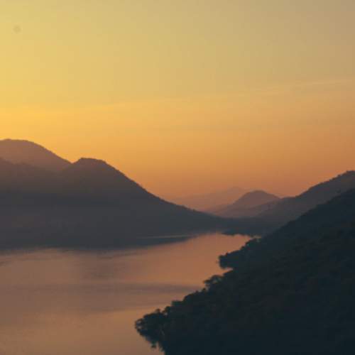 Photo #8980618