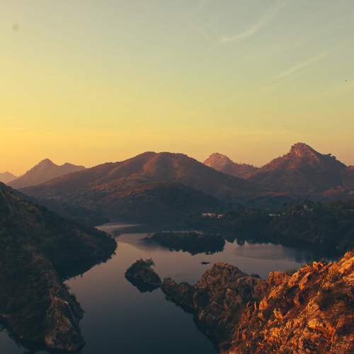 Photo #8980622